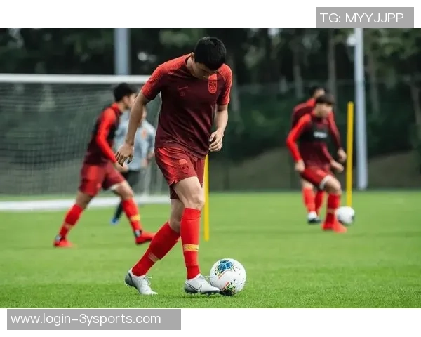 足球场上的14号球员：技术与战术的完美结合与精彩瞬间回顾